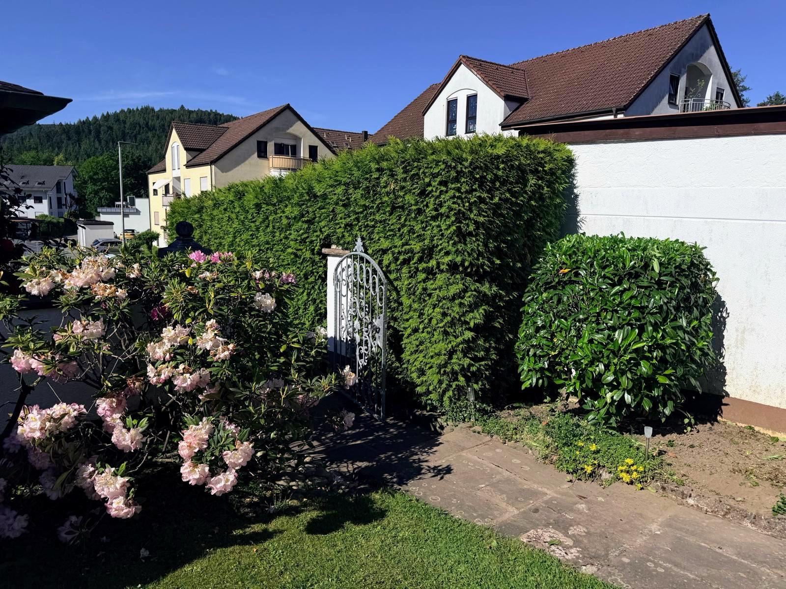 Grünfix Gartenservice Projekt 8 – Gartenpflege im Ortenaukreis